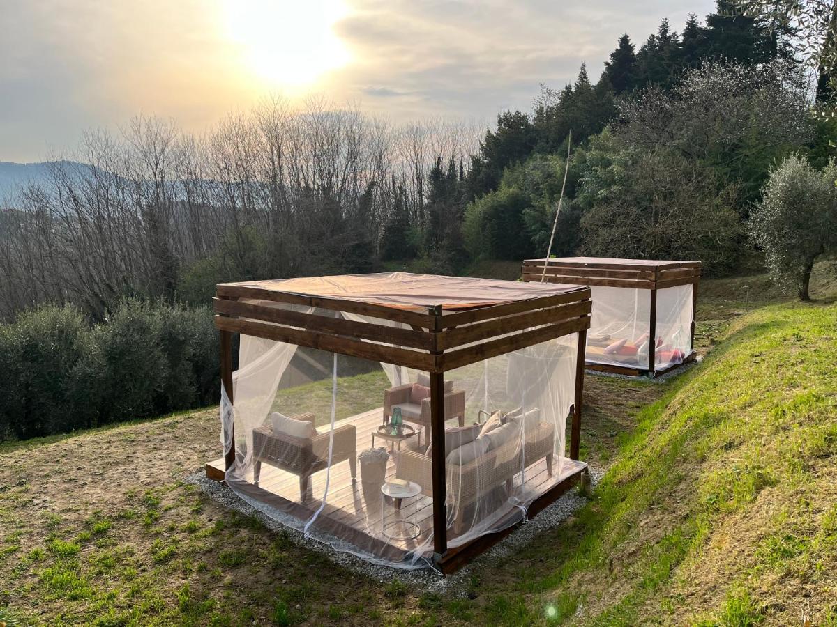Casa Del Pino Bed & Breakfast Borgo a Buggiano Exterior photo