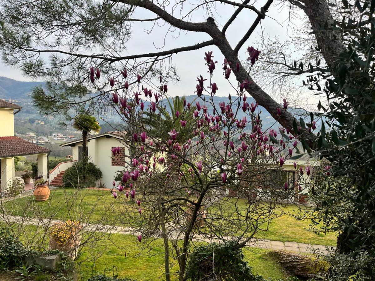 Casa Del Pino Bed & Breakfast Borgo a Buggiano Exterior photo