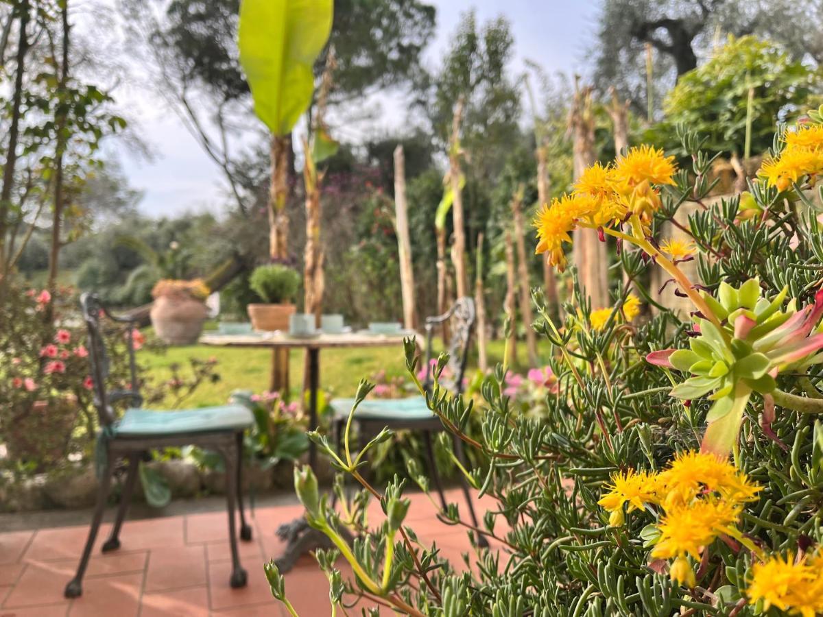 Casa Del Pino Bed & Breakfast Borgo a Buggiano Exterior photo